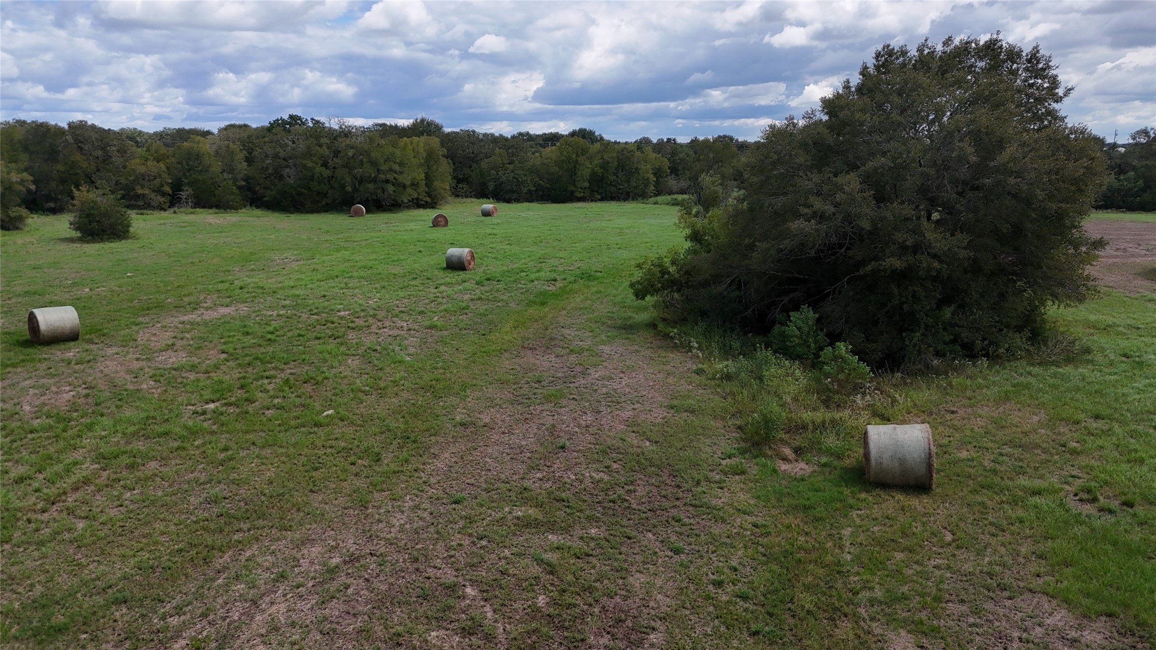 400 West Parker Road Flatonia, TX 78941 - Photo 11 of 24