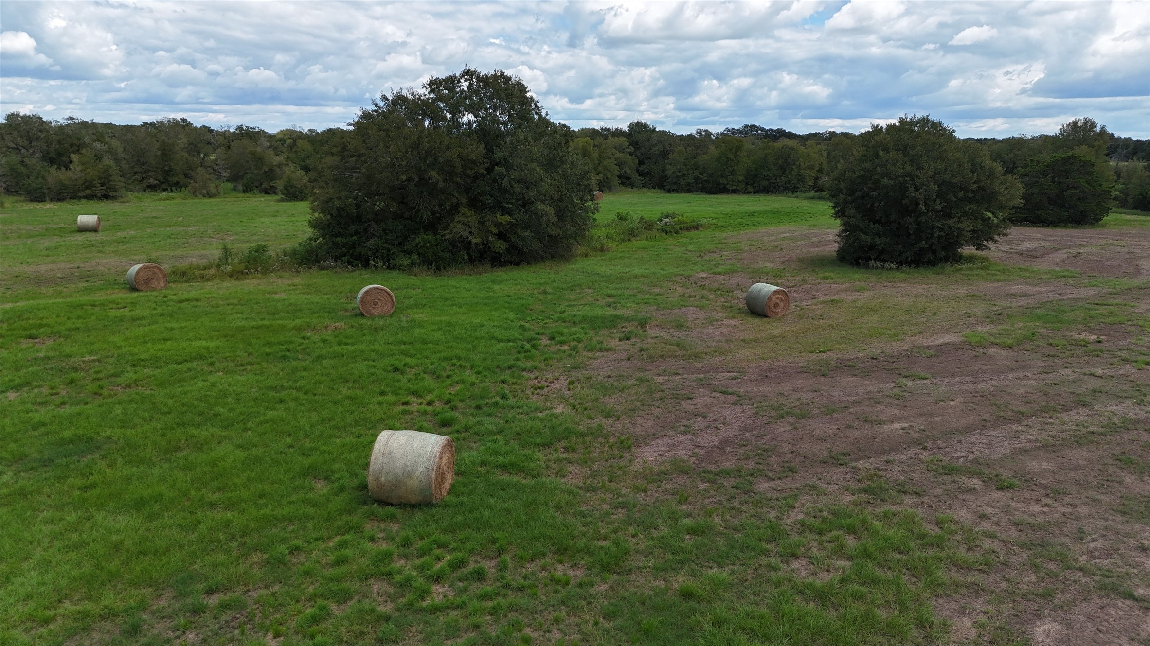 400 West Parker Road Flatonia, TX 78941 - Photo 13 of 24