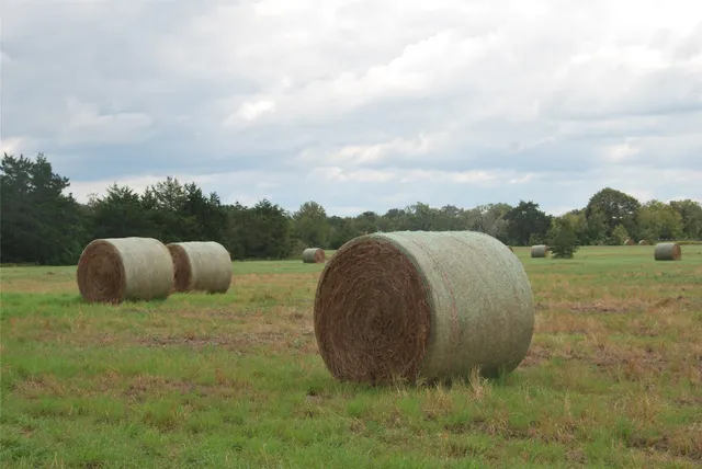 $451,699 | 400 West Parker Road, Flatonia, TX 78941