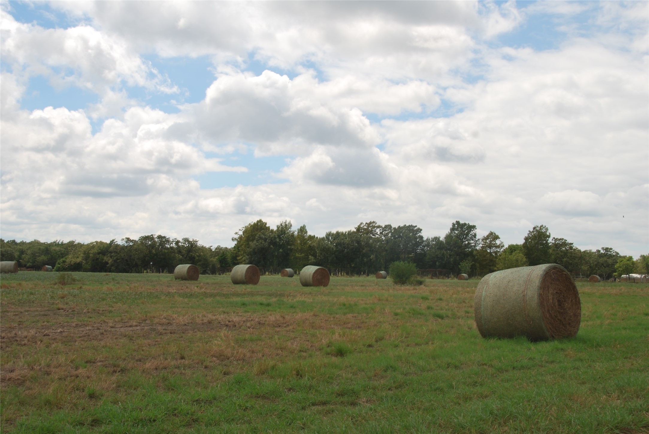 400 West Parker Road Flatonia, TX 78941 - Photo 15 of 24