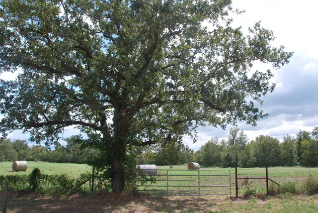 $451,699 | 400 West Parker Road, Flatonia, TX 78941