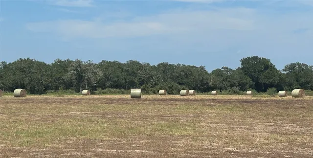 $451,699 | 400 West Parker Road, Flatonia, TX 78941