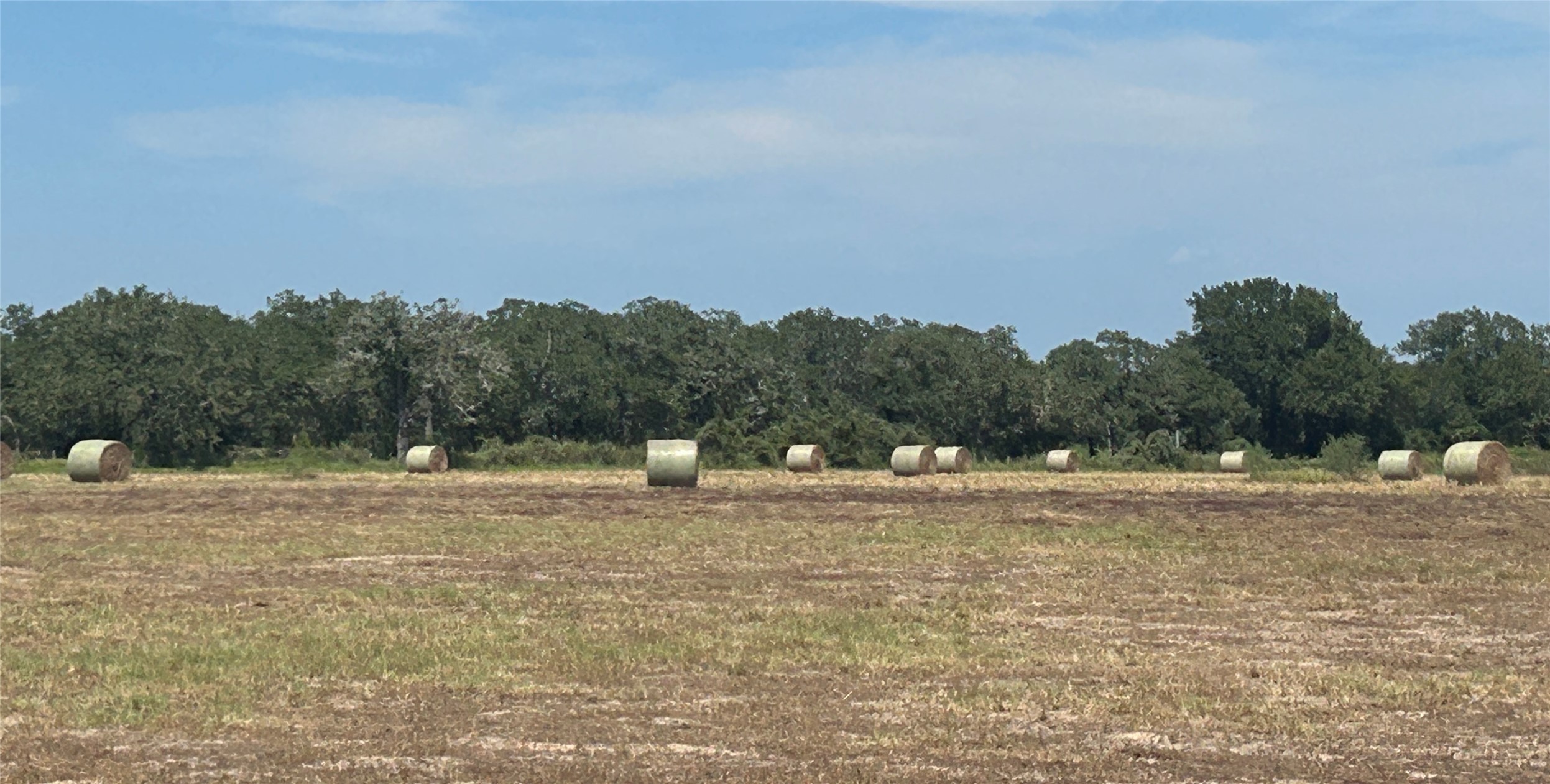 400 West Parker Road Flatonia, TX 78941 - Photo 5 of 24