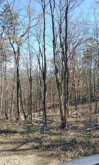 1345 Shipwreck Road Shenandoah, VA 22849 - Photo 11 of 12 Gallery Image 11