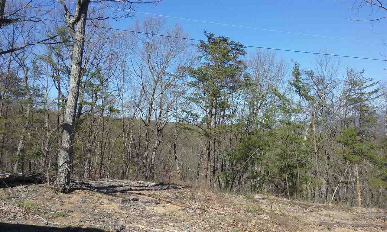 1345 Shipwreck Road Shenandoah, VA 22849 - Photo 9 of 12 Gallery Image 9