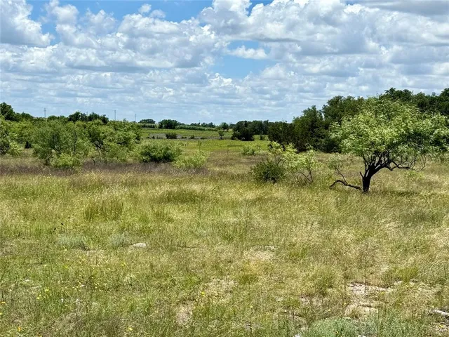 a view of a flower in a yard