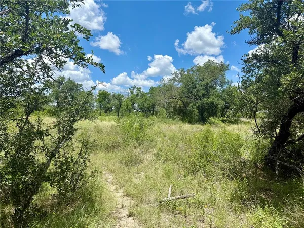 a view of a field with trees in background