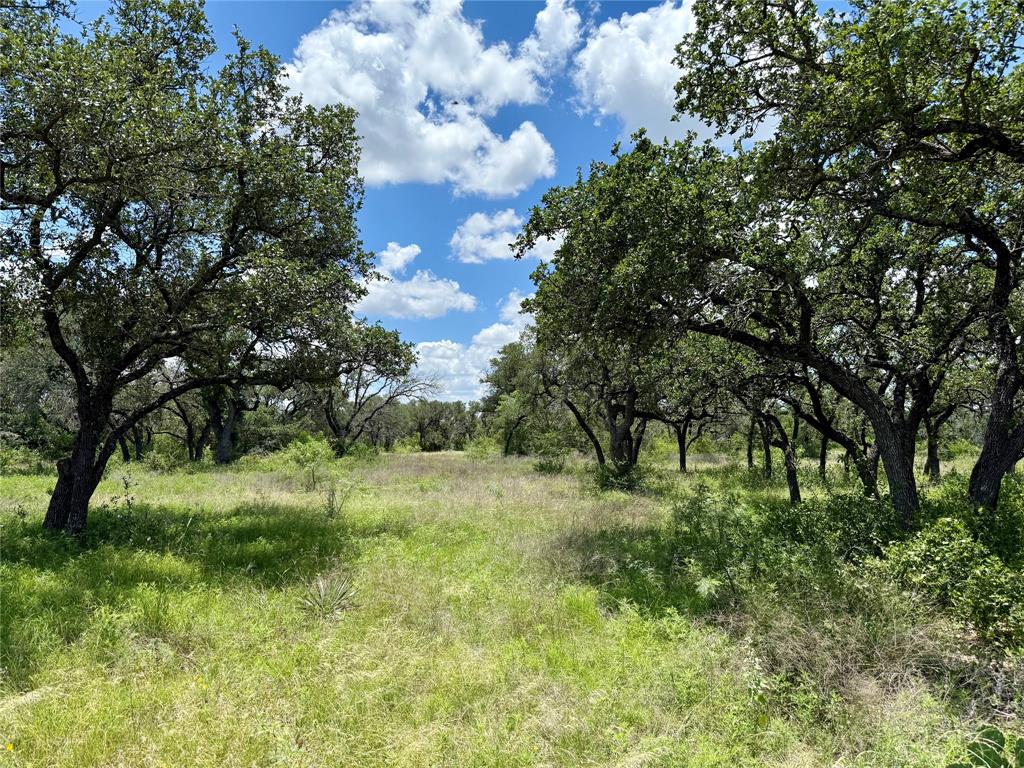 Lot 39 Pecan Valley Drive Gustine, TX 76455 - Photo 2 of 17 a big yard with lots of green space and plants