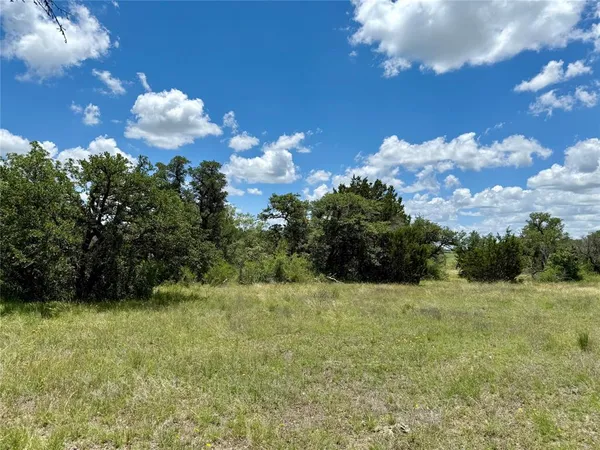a view of a grassy field with an trees