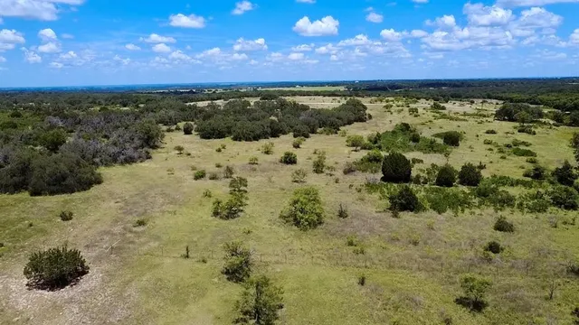 a view of a bunch of flowers in a yard