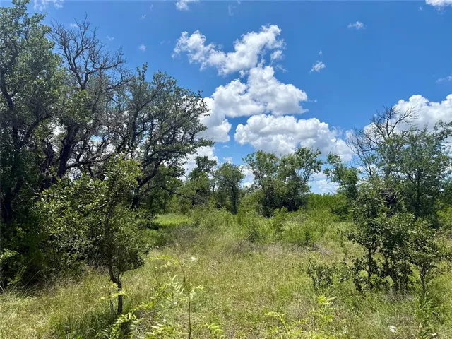 a view of a big yard with a big yard and a large tree
