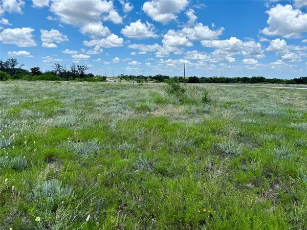 a view of a bunch of trees and bushes