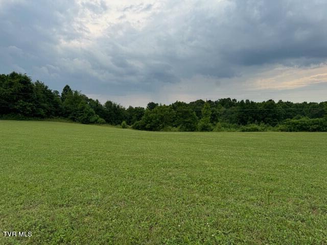 Tbd Greystone Road Afton, TN 37616 - Photo 11 of 14 IMG_4238