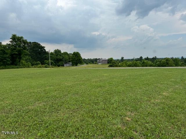 Tbd Greystone Road Afton, TN 37616 - Photo 12 of 14 IMG_4240