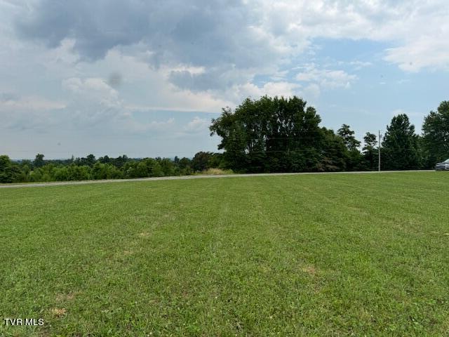 Tbd Greystone Road Afton, TN 37616 - Photo 13 of 14 IMG_4241