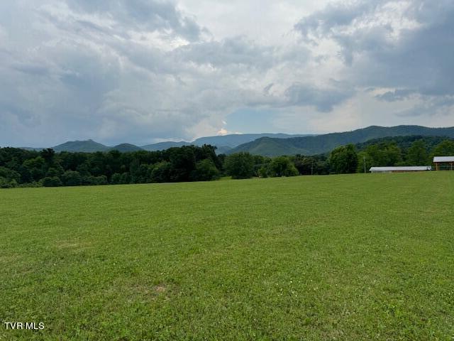 Tbd Greystone Road Afton, TN 37616 - Photo 14 of 14 IMG_4236