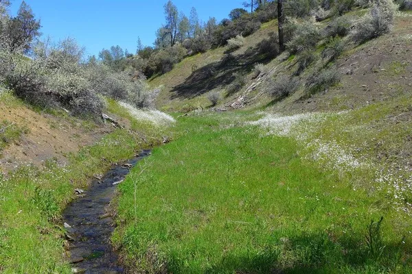 $50,000 | Lot 163 Cottonwood Creek Road, Igo, CA 96047