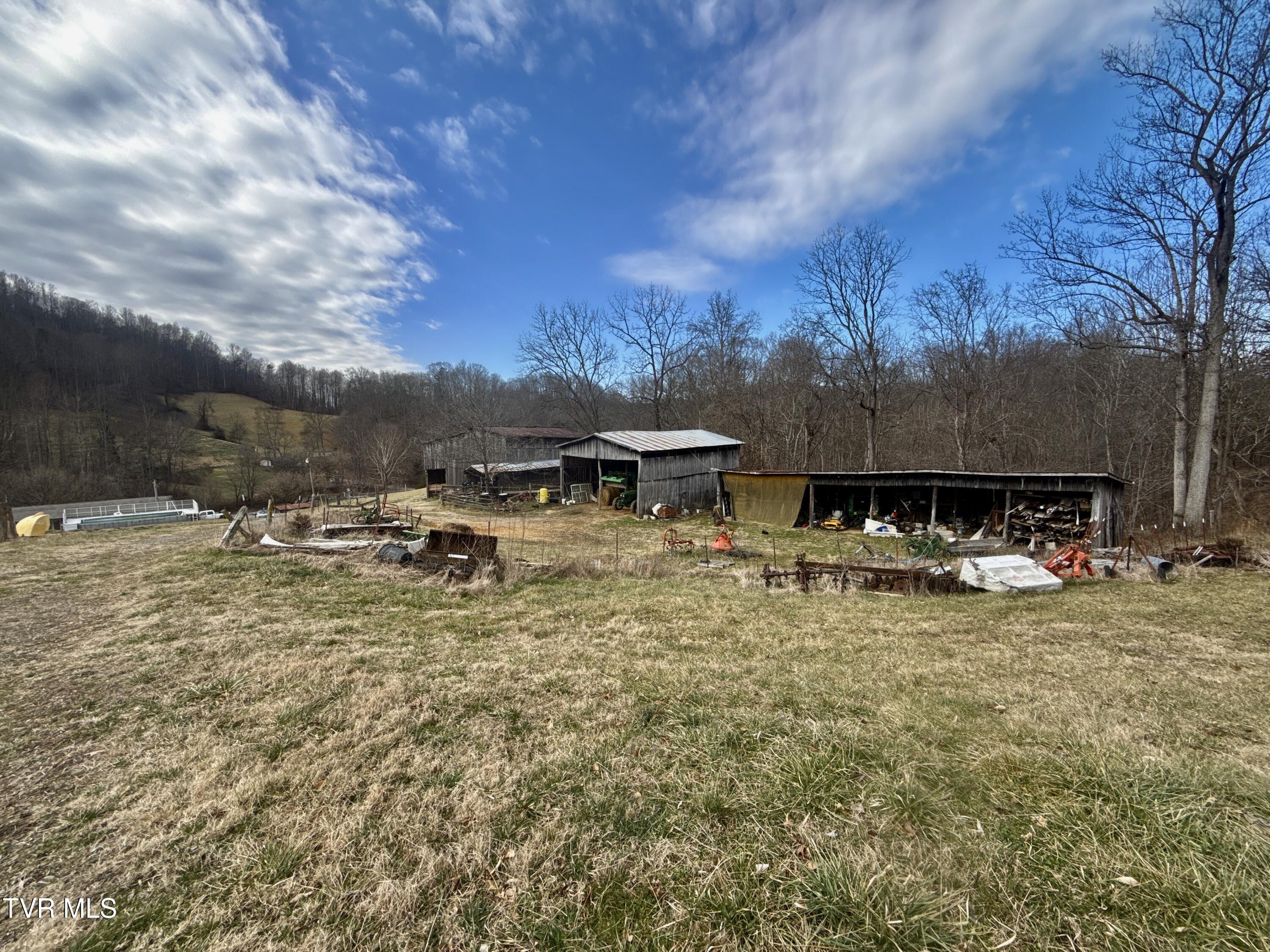 219 Ridge Road Eidson, TN 37731 - Photo 33 of 72 _Pic24 (29)