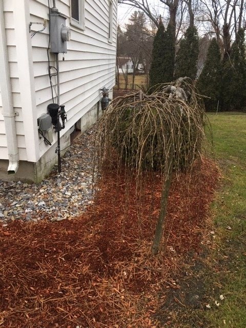143 East Dunstable Road Nashua, NH 03062 - Photo 33 of 40