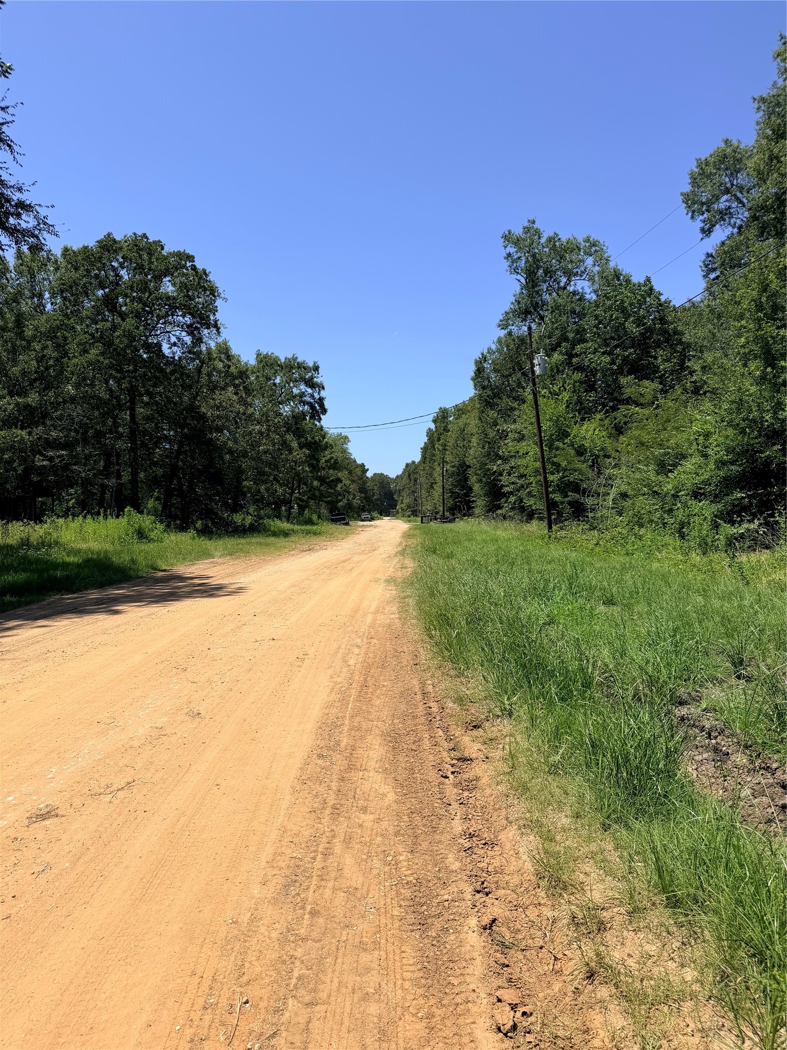 Tbd Wolf Run Road Livingston, TX 77351 - Photo 11 of 14 View looking down Wolf Run with the subject property located on the right side of the road. Enjoy approximately 100 feet of road frontage across two adjoining wooded lots in the peaceful Mangum Estates subdivision.