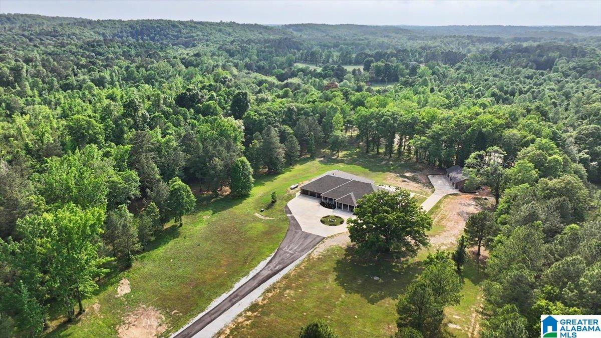 4550 Newbold Road Bessemer, AL 35022 - Photo 24 of 99