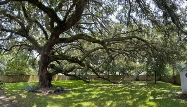 $3,400 | 1769 Brantley Drive, Charleston, SC 29412