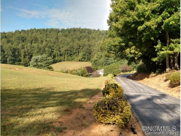 5995 Howard Gap Road Saluda, NC 28773 - Photo 2 of 23 Gallery Image 2