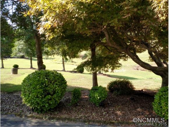 5995 Howard Gap Road Saluda, NC 28773 - Photo 18 of 23 Gallery Image 18