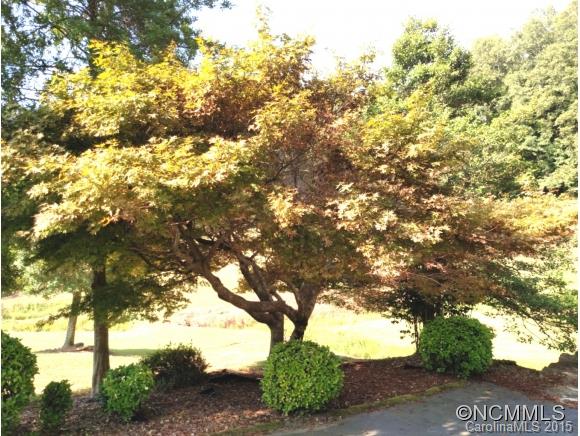 5995 Howard Gap Road Saluda, NC 28773 - Photo 19 of 23 Gallery Image 19