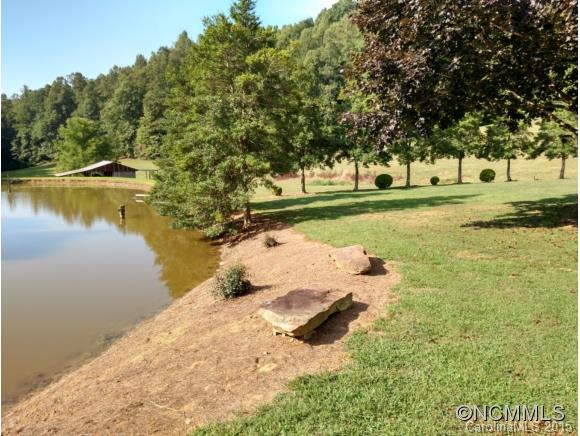 5995 Howard Gap Road Saluda, NC 28773 - Photo 6 of 23 Gallery Image 6