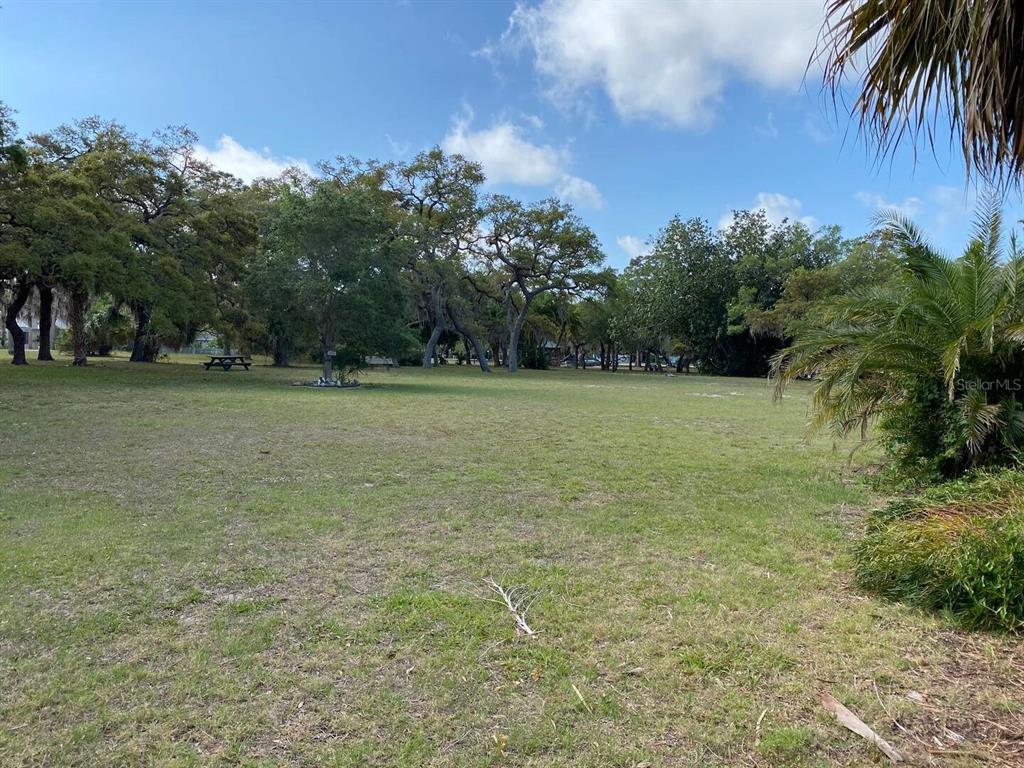 508 Ulelah Avenue Palm Harbor, FL 34683 - Photo 16 of 18 a view of a field with an trees in the background