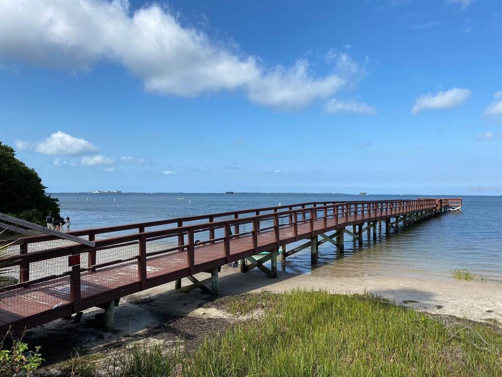 508 Ulelah Avenue Palm Harbor, FL 34683 - Photo 18 of 18 a view of swimming pool with outdoor space