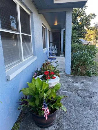 a plant is in front of a house