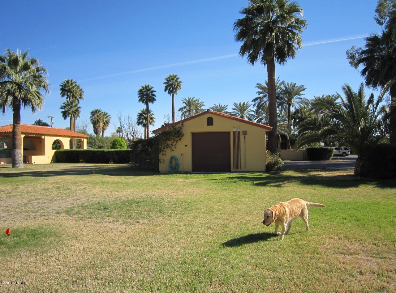 4626 East Granada Road Phoenix, AZ 85008 - Photo 28 of 55 NORTH BACK YARD