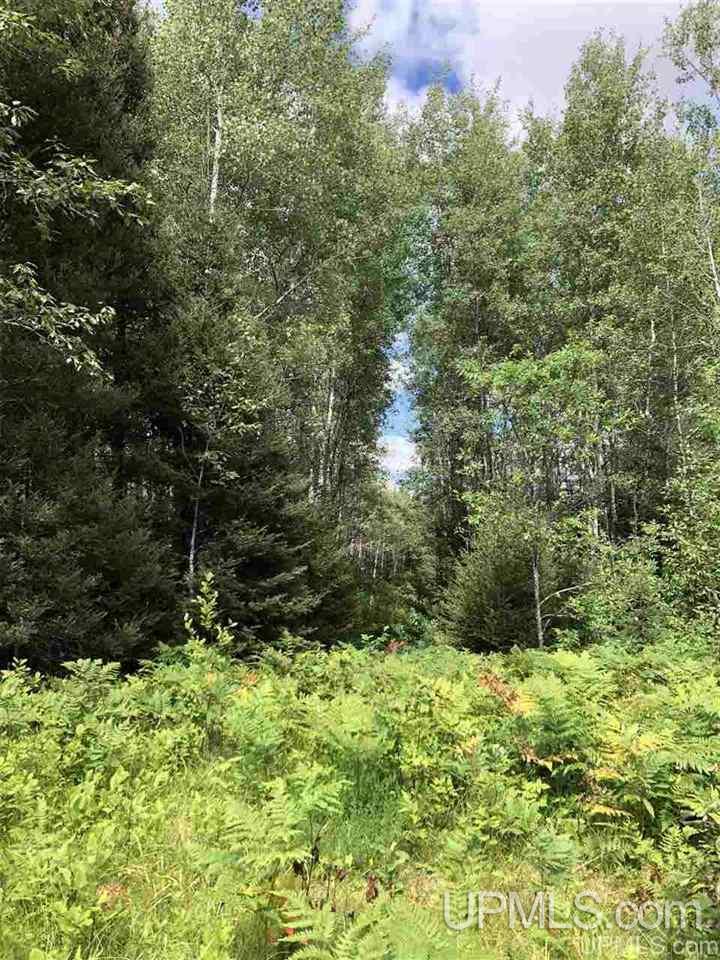 Tbd West Tower Road Ishpeming, MI 49849 - Photo 40 of 44