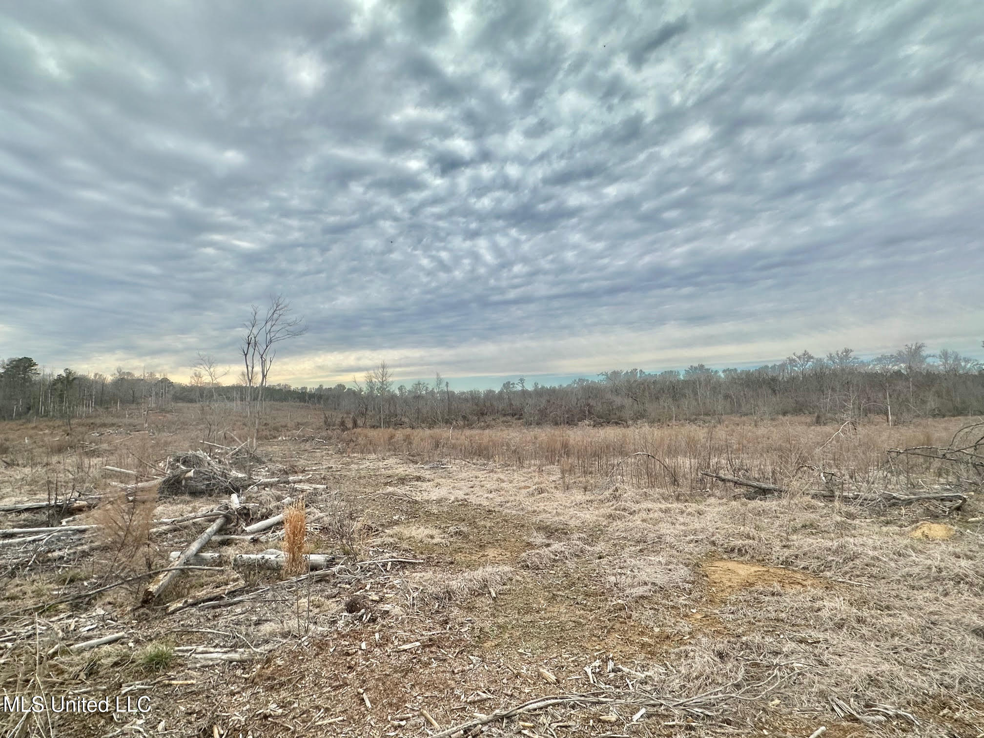 6145 Dry Grove Road Terry, MS 39170 - Photo 83 of 107 668 - Copy
