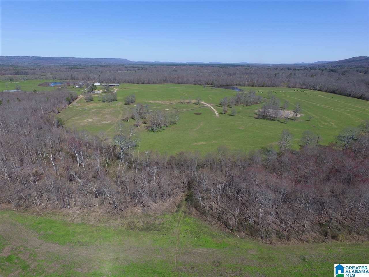 0 Double Bridge Road, Unit 286 Ashville, AL 35953 - Photo 12 of 34