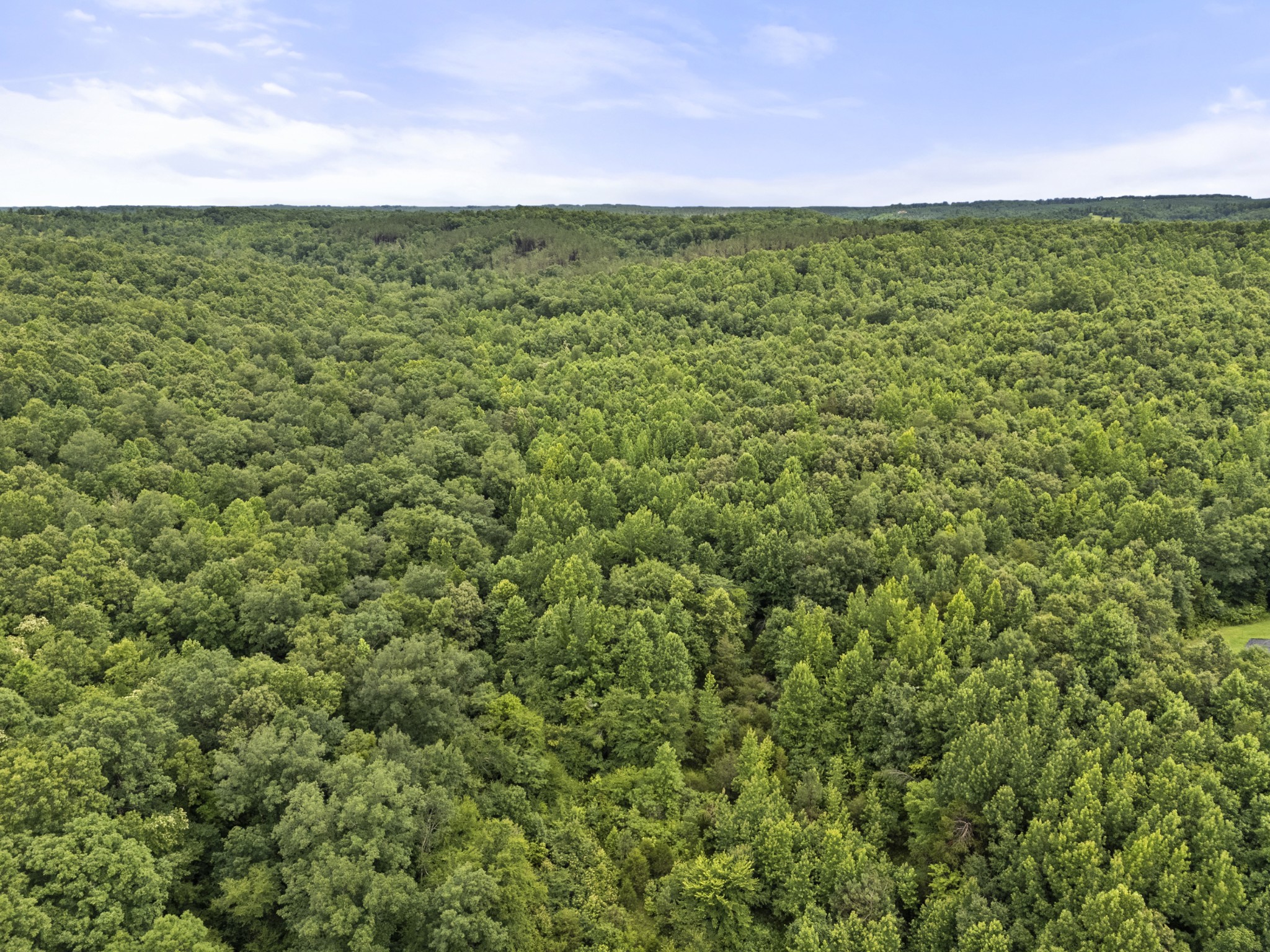 0 Rockhouse Road Linden, TN 37096 - Photo 5 of 6