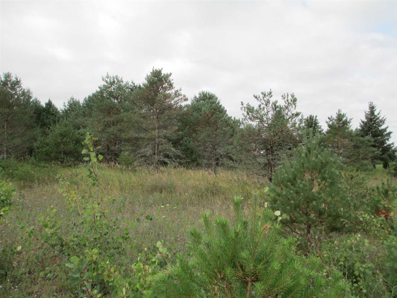 Anderson Road Kalkaska, MI 49646 - Photo 9 of 17 1860155-8.JPG