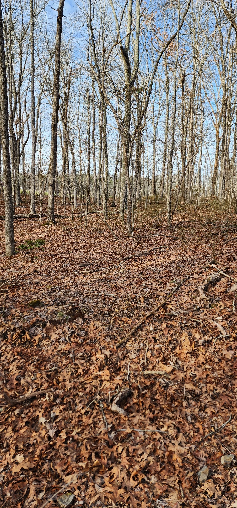 0 Hunziker Road Tracy City, TN 37387 - Photo 2 of 9