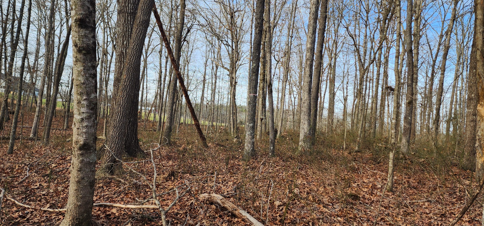 0 Hunziker Road Tracy City, TN 37387 - Photo 3 of 9