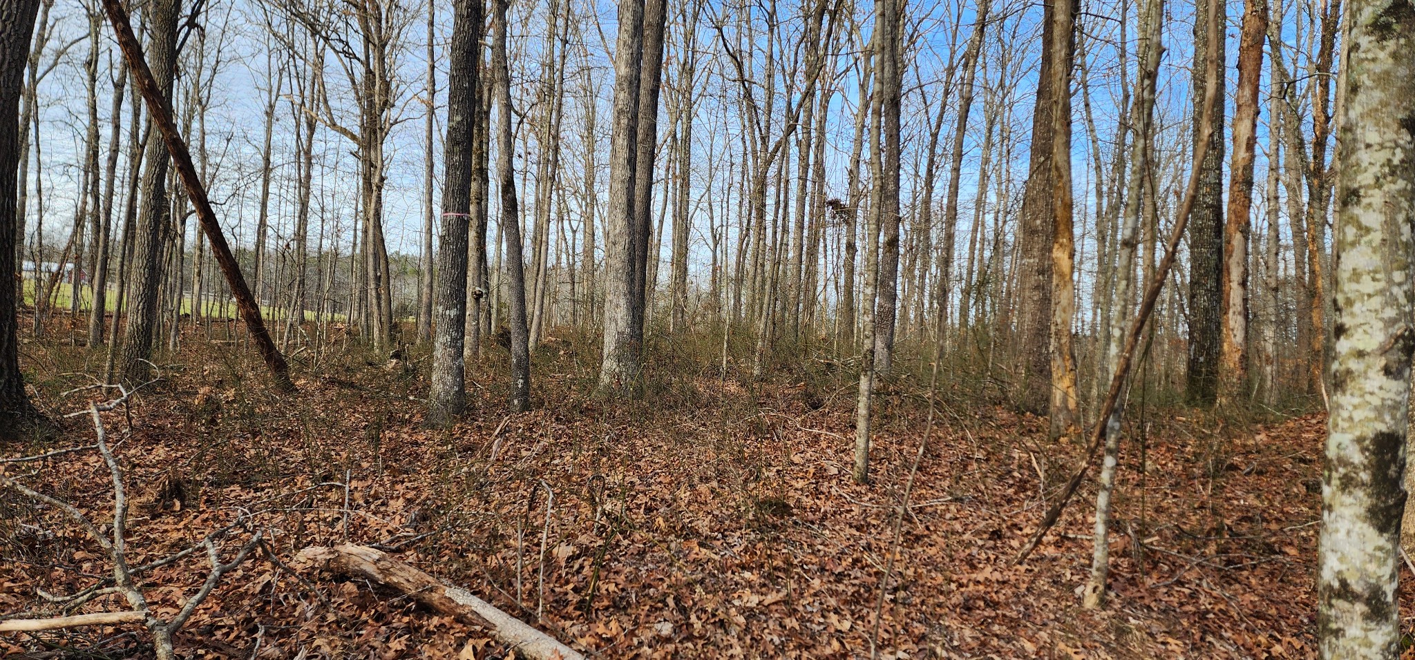 0 Hunziker Road Tracy City, TN 37387 - Photo 4 of 9