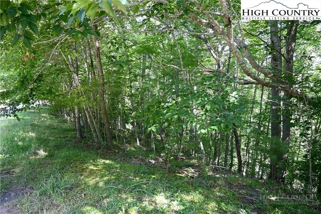 Turkey Ridge South Crumpler, NC 28617 - Photo 2 of 8 Gallery Image 2