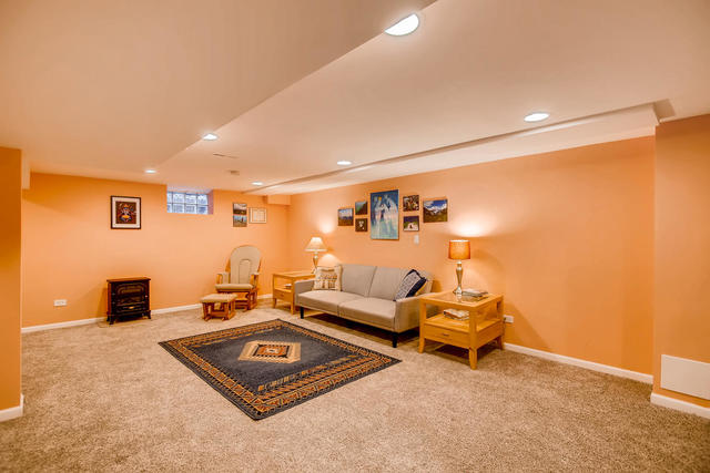 5716 Dunham Road Downers Grove, IL 60516 - Photo 14 of 17