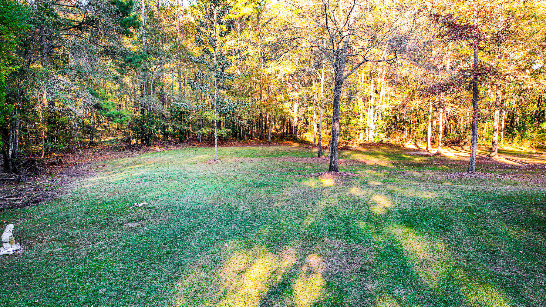 240 Groomsville Road Moncks Corner, SC 29461 - Photo 71 of 101 DV-118