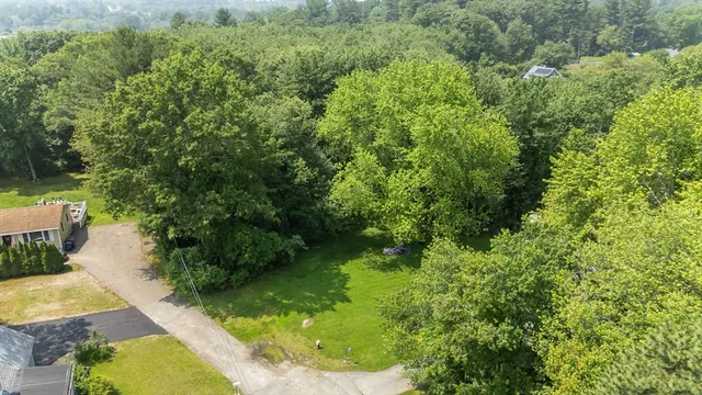 a view of a yard with plants