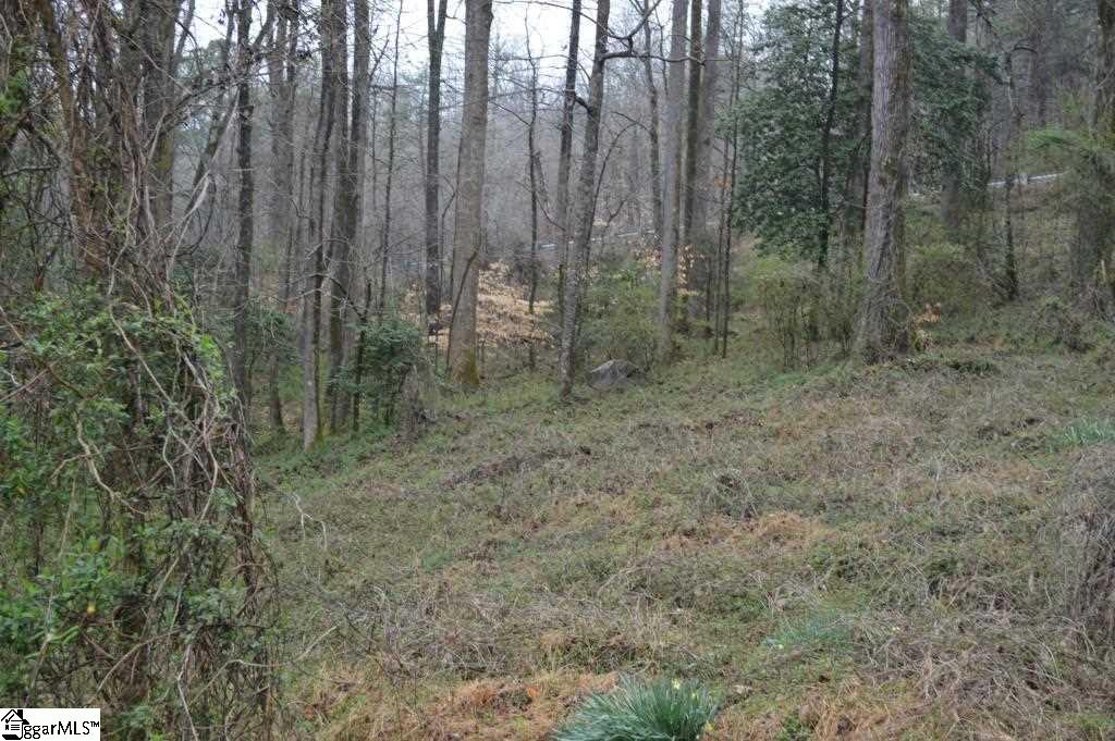 Airline Road Travelers Rest, SC 29690 - Photo 5 of 18 Gallery Image 5