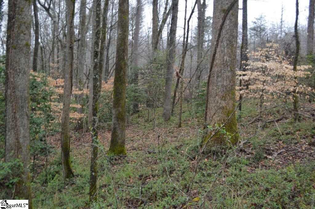 Airline Road Travelers Rest, SC 29690 - Photo 10 of 18 Gallery Image 10