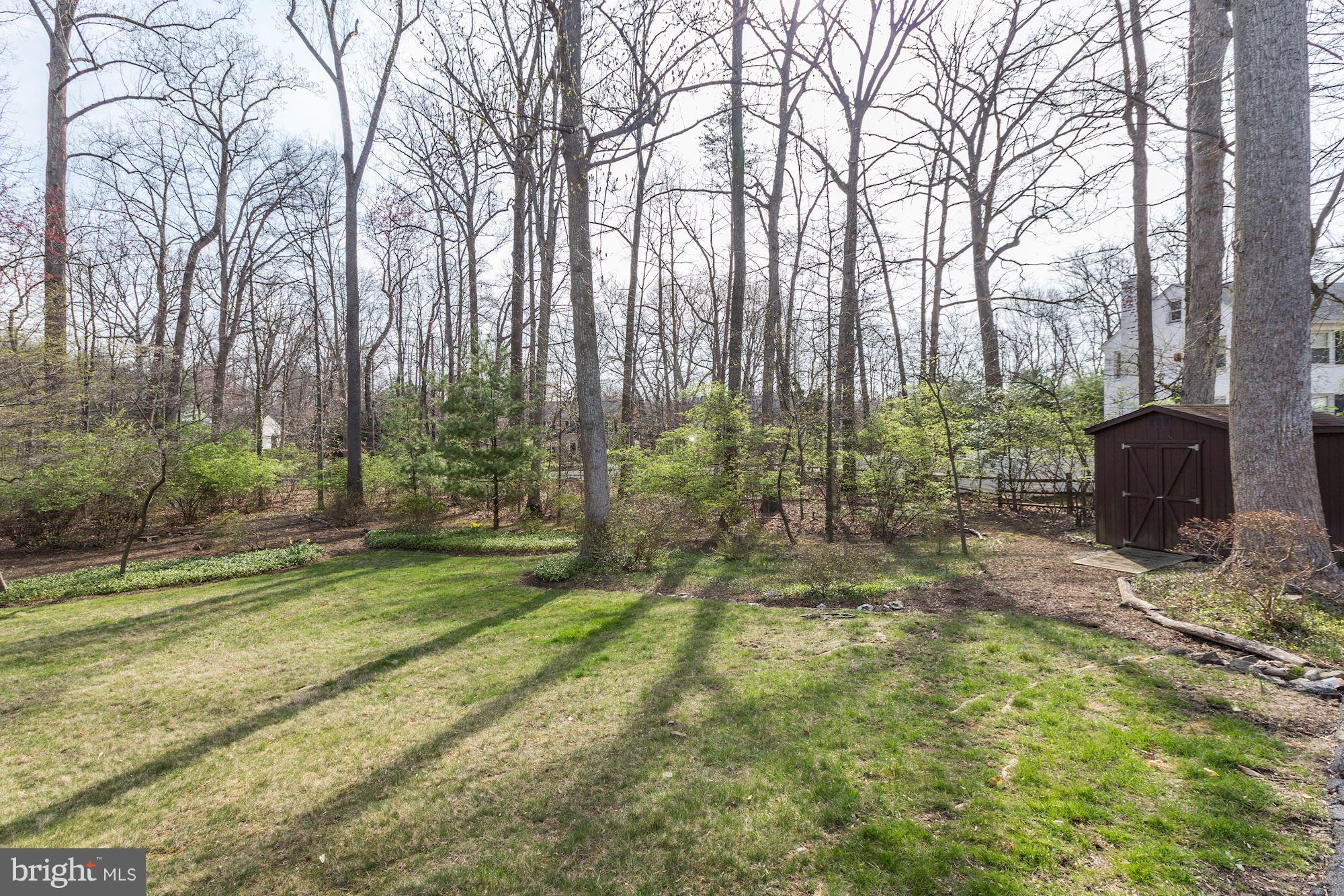 9301 Burning Tree Road Bethesda, MD 20817 - Photo 28 of 30 View of Back Yard and Vacant Lot Behind Property