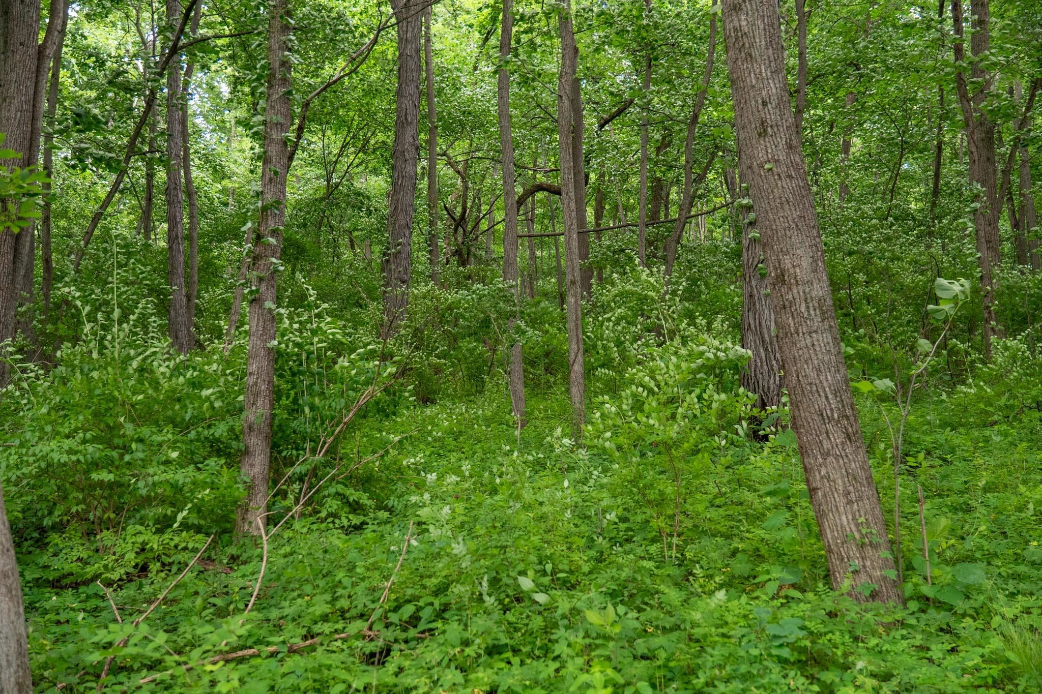 13682 East State Line Road Durand, IL 61024 - Photo 11 of 68